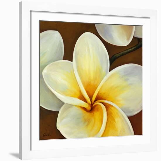 Frangipani II-Clunia-Framed Art Print