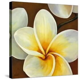 Frangipani II-Clunia-Stretched Canvas