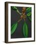 Frangipani Leaves, Bequia, 2008-Deborah Barton-Framed Giclee Print