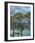 Frangipani Trees and Wooden Boat, Prison Island, Zanzibar, Tanzania, East Africa, Africa-Thorne Julia-Framed Photographic Print