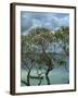 Frangipani Trees and Wooden Boat, Prison Island, Zanzibar, Tanzania, East Africa, Africa-Thorne Julia-Framed Photographic Print