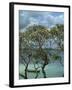 Frangipani Trees and Wooden Boat, Prison Island, Zanzibar, Tanzania, East Africa, Africa-Thorne Julia-Framed Photographic Print