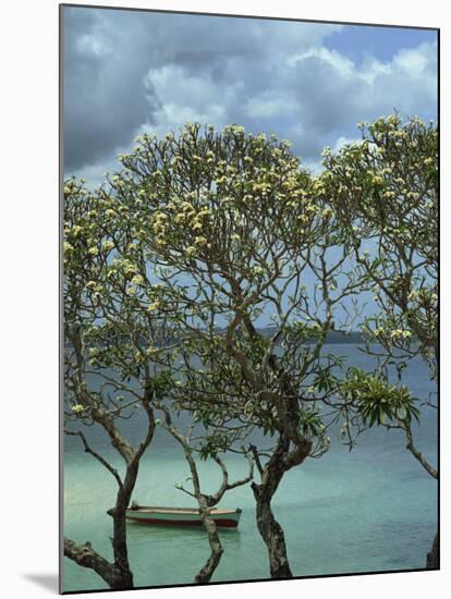 Frangipani Trees and Wooden Boat, Prison Island, Zanzibar, Tanzania, East Africa, Africa-Thorne Julia-Mounted Photographic Print