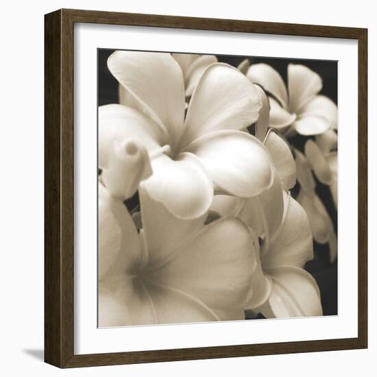 Frangipani Twilight I-Tony Koukos-Framed Giclee Print