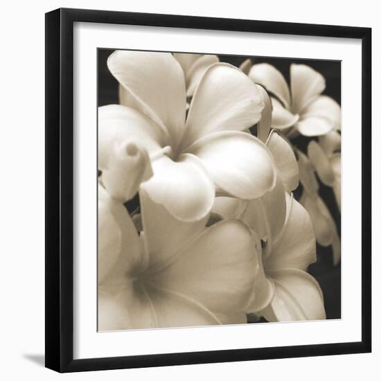 Frangipani Twilight I-Tony Koukos-Framed Giclee Print