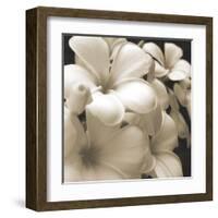 Frangipani Twilight I-Tony Koukos-Framed Giclee Print