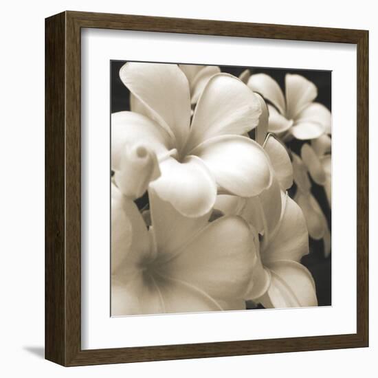 Frangipani Twilight I-Tony Koukos-Framed Giclee Print