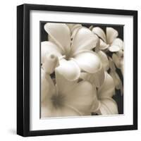 Frangipani Twilight I-Tony Koukos-Framed Giclee Print