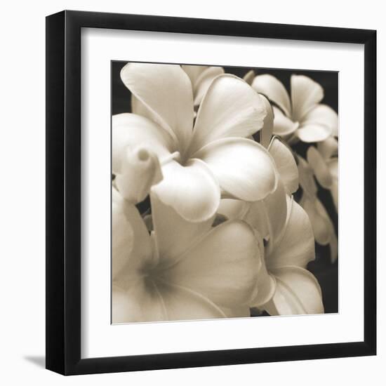 Frangipani Twilight I-Tony Koukos-Framed Giclee Print