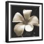 Frangipani Twilight II-Tony Koukos-Framed Giclee Print