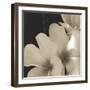 Frangipani Twilight III-Tony Koukos-Framed Giclee Print