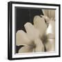 Frangipani Twilight III-Tony Koukos-Framed Giclee Print