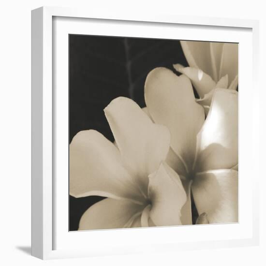 Frangipani Twilight III-Tony Koukos-Framed Giclee Print