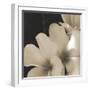 Frangipani Twilight III-Tony Koukos-Framed Giclee Print