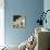 Frangipani Twilight III-Tony Koukos-Mounted Giclee Print displayed on a wall