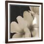 Frangipani Twilight III-Tony Koukos-Framed Giclee Print