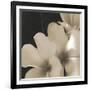 Frangipani Twilight III-Tony Koukos-Framed Giclee Print