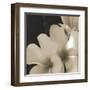 Frangipani Twilight III-Tony Koukos-Framed Giclee Print