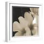 Frangipani Twilight III-Tony Koukos-Framed Giclee Print