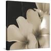 Frangipani Twilight III-Tony Koukos-Stretched Canvas