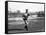 Frank Allen, Brooklyn Dodgers, Baseball Photo - New York, NY-Lantern Press-Framed Stretched Canvas