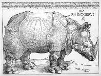 The Rhinoceros, 1515-Frank Cadogan Cowper-Giclee Print