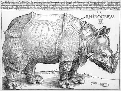 The Rhinoceros, 1515