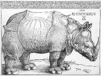 The Rhinoceros, 1515-Frank Cadogan Cowper-Giclee Print