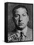 Frank Costello (1891-1973) in 1935 Mug Shot-null-Framed Stretched Canvas