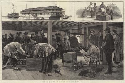 Sketches in China, on Board an Opium Hulk at Shanghai