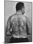 Frank de Burgh, Tattooed Man, 1897-Carl Miller-Mounted Art Print