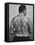 Frank de Burgh, Tattooed Man, 1897-Carl Miller-Framed Stretched Canvas
