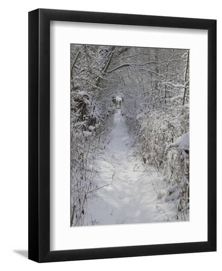 Premium Photographic Print, , large