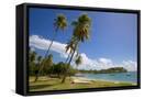 Framed Canvas