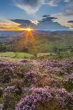 View of flowering heather on Stanage Edge and Hope Valley at sunset, Hathersage-Frank Fell-Photographic Print