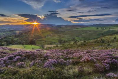 View of flowering heather on Stanage Edge and Hope Valley at sunset