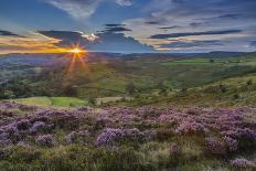 View of flowering heather on Stanage Edge and Hope Valley at sunset, Hathersage-Frank Fell-Photographic Print