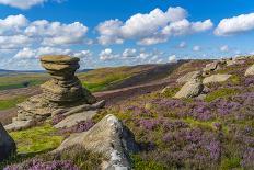 View of the Salt Cellar Rock Formation, Derwent Edge, Peak District National Park, Derbyshire-Frank Fell-Photographic Print