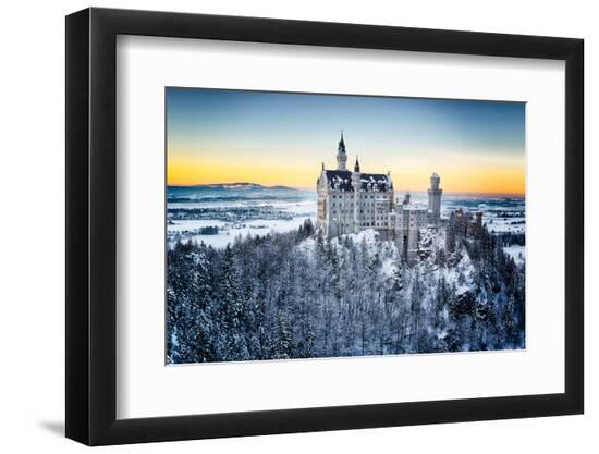 Premium Photographic Print, , large
