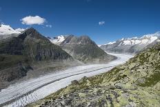 Aletsch Glacier, Eggishorn, Fiesch, Switzerland, Valais-Frank Fleischmann-Photographic Print