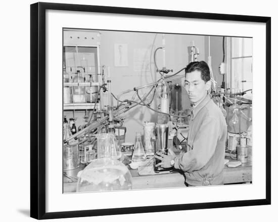 Frank Hirosama in laboratory at Manzanar, 1943-Ansel Adams-Framed Photographic Print