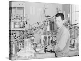 Frank Hirosama in laboratory at Manzanar, 1943-Ansel Adams-Stretched Canvas