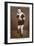 Frank Hough, British Boxer, 1938-null-Framed Giclee Print