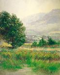 Morning Mist-Frank Janca-Giclee Print