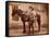 Frank L. Schmid, Texas Ranger-null-Framed Stretched Canvas