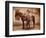 Frank L. Schmid, Texas Ranger-null-Framed Art Print