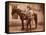 Frank L. Schmid, Texas Ranger-null-Framed Stretched Canvas