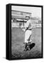 Frank LaPorte, St. Louis Browns, Baseball Photo - St. Louis, MO-Lantern Press-Framed Stretched Canvas