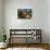 Frank Lloyd Wright Home and Studio-Steve Gadomski-Photographic Print displayed on a wall