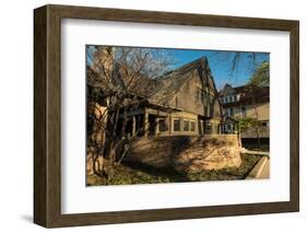 Frank Lloyd Wright Home and Studio-Steve Gadomski-Framed Photographic Print